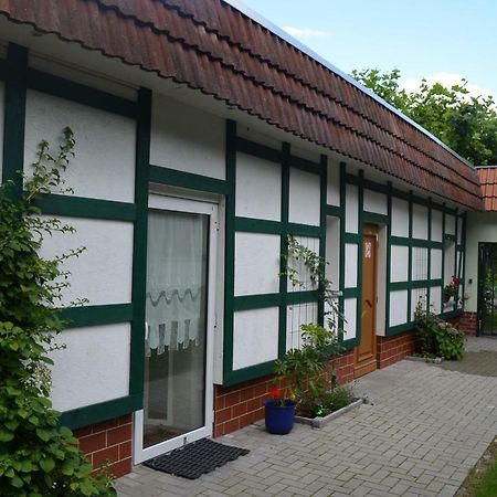 Pension Im Gruenen Eberswalde-Finow Buitenkant foto