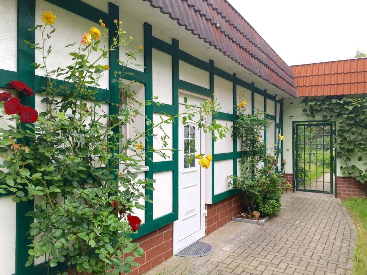 Pension Im Gruenen Eberswalde-Finow Buitenkant foto